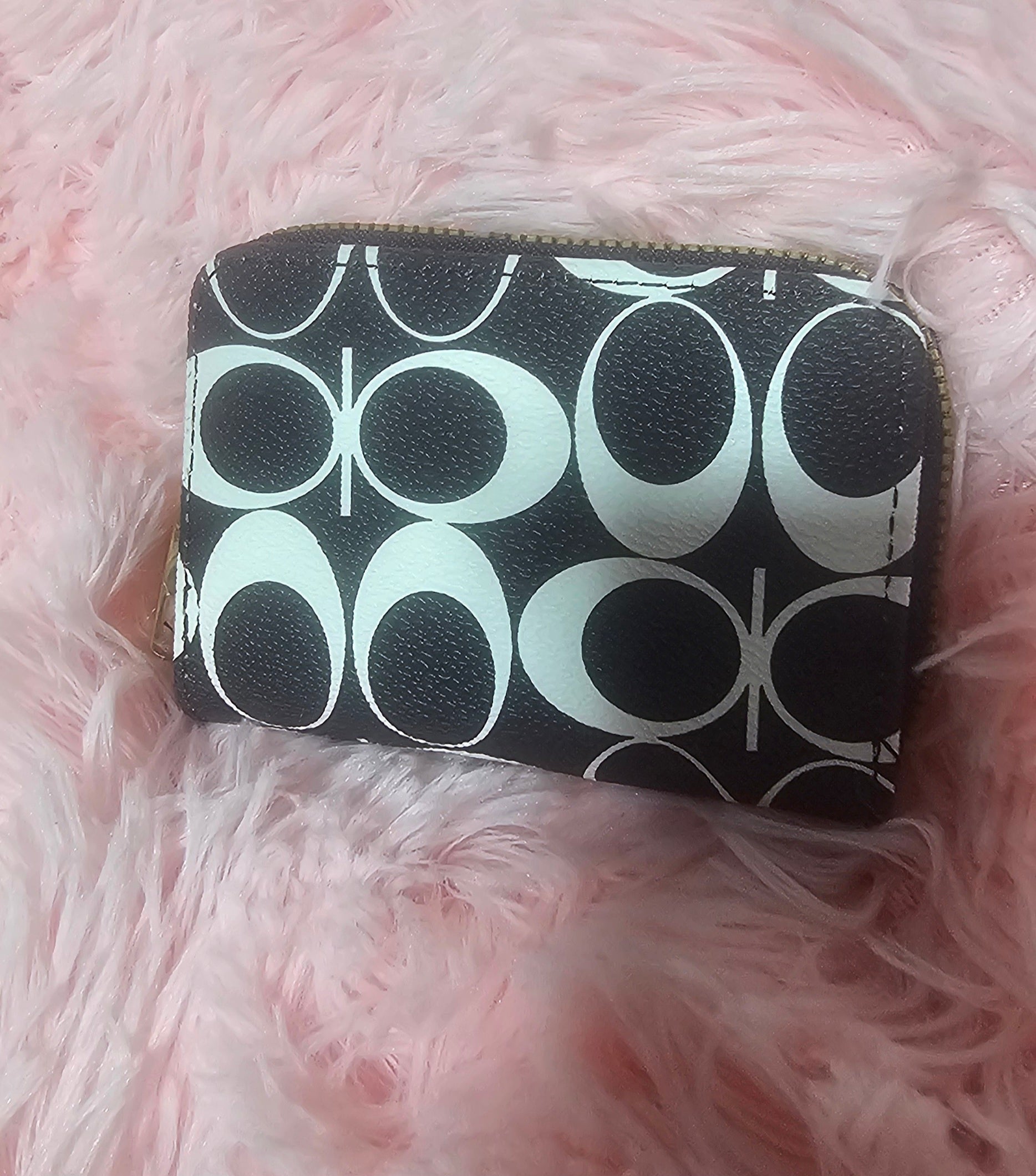 Carteras